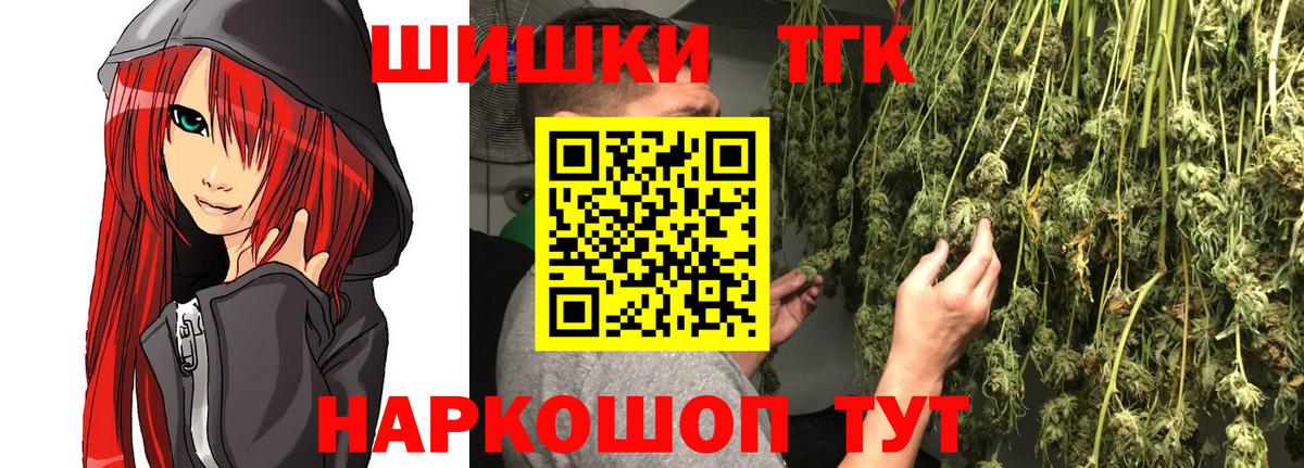 Марихуана сатива Гусев