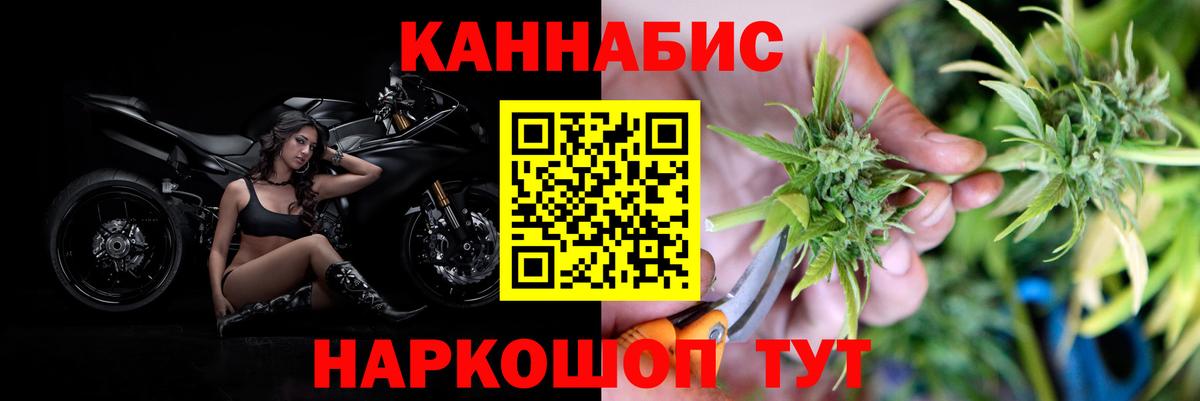 Бошки марихуана сатива  Вход с VPN  Гусев  Каннабис сатива 
